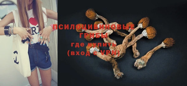 a pvp Горнозаводск