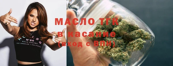 прущие крисы Горняк