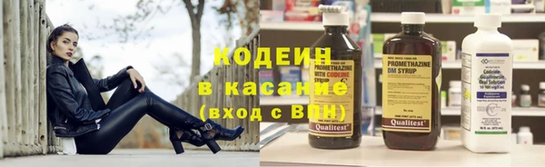 прущие крисы Горняк