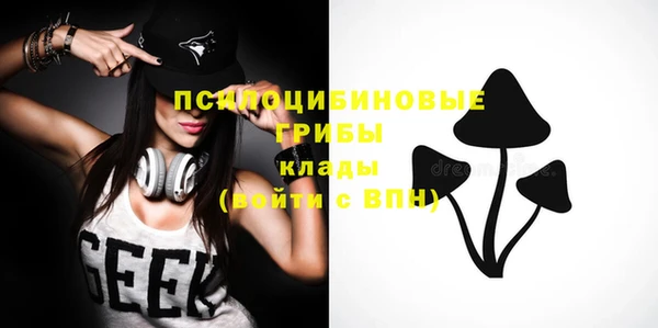 прущие крисы Горняк