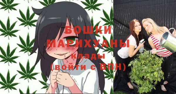 a pvp Горнозаводск