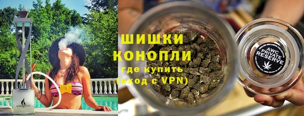 прущие крисы Горняк