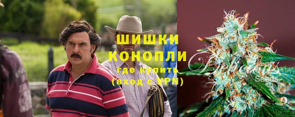прущие крисы Горняк