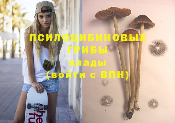 прущие крисы Горняк
