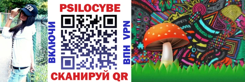 Псилоцибиновые грибы Cubensis наркота Дзержинский