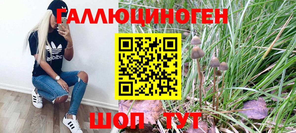 Псилоцибиновые грибы прущие грибы  Дзержинский  Псилоцибиновые грибы Magic Shrooms 