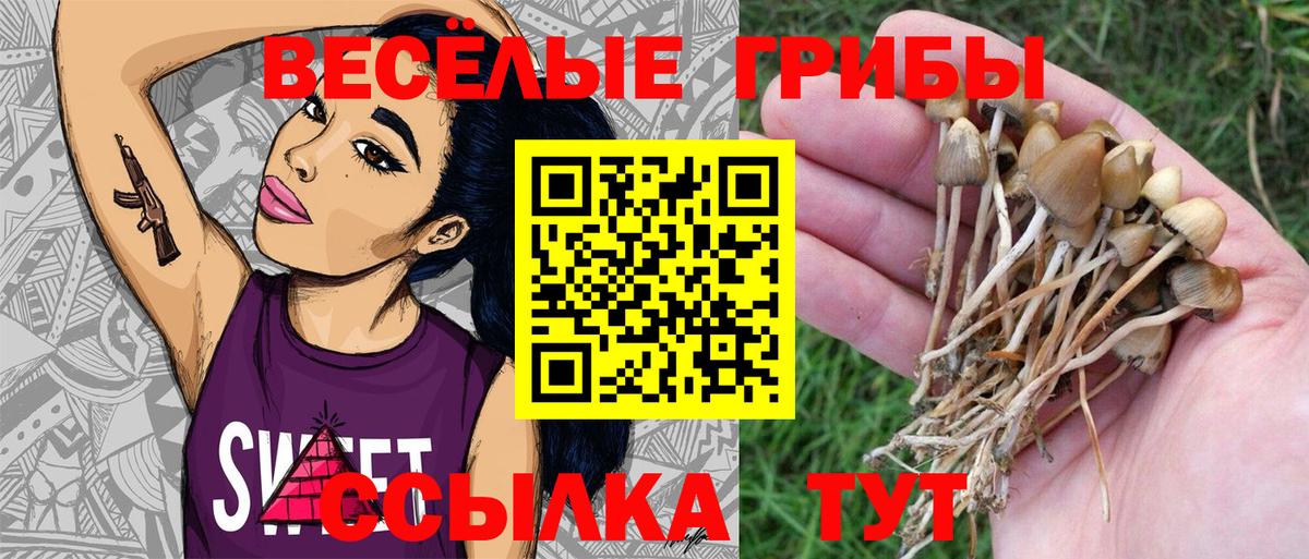 Псилоцибиновые грибы мицелий Дзержинский