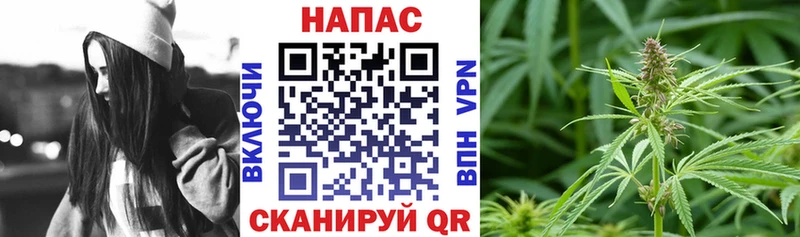 Шишки марихуана марихуана  Дзержинский 